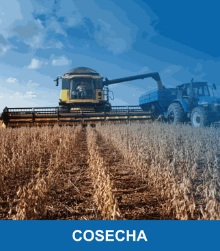 Odoo - Prueba 2 a tres columnas